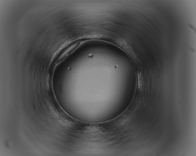 X0000101120300200807031810