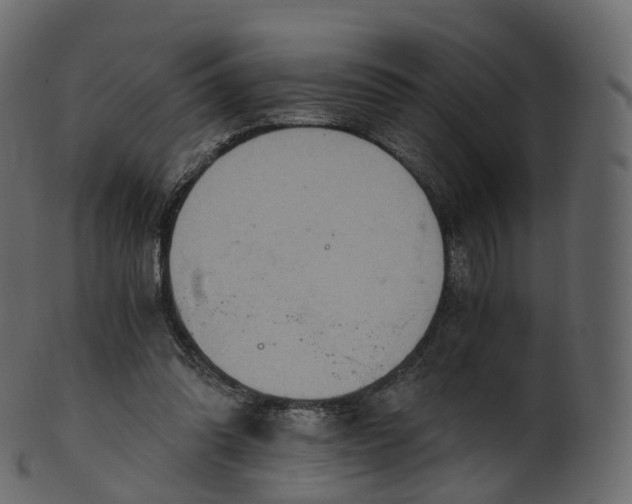 X0000101120302200807031810