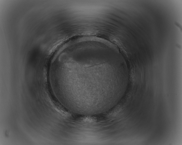X0000101120303200807031810