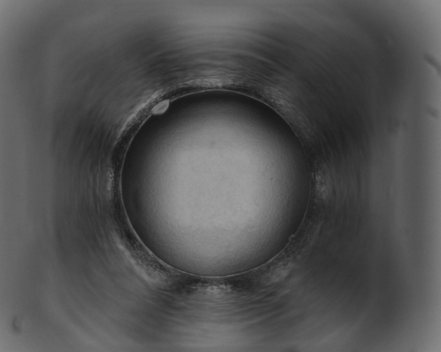 X0000101120304200807031810