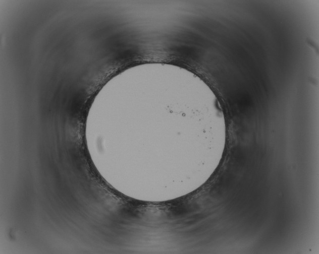 X0000101120305200807031810