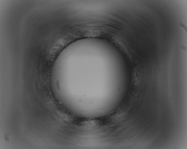 X0000101120307200807031810