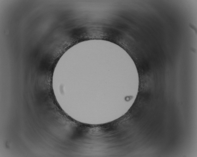 X0000101120309200807031810