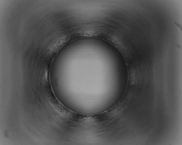 X0000101120310200807031810