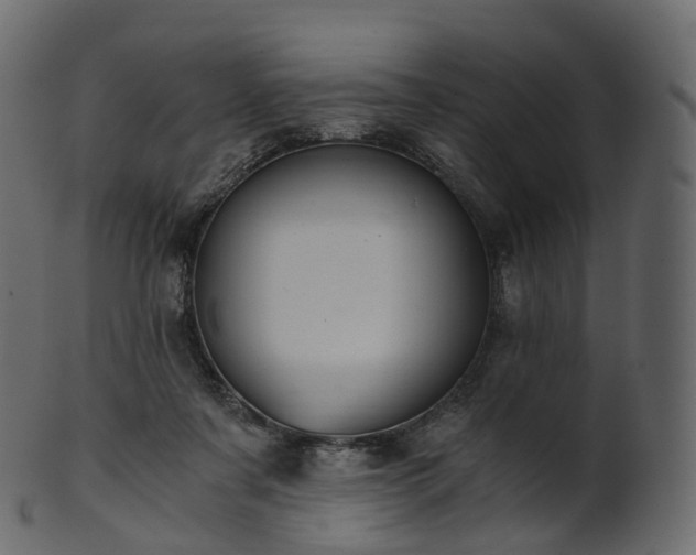 X0000101120311200807031810