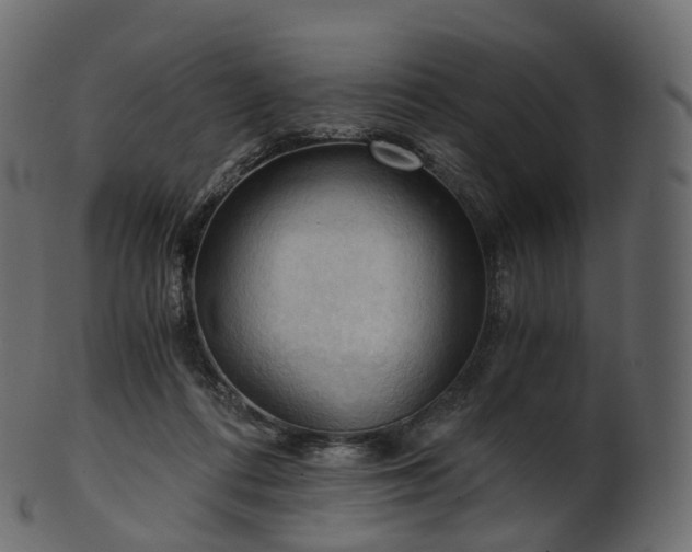 X0000101120312200807031810