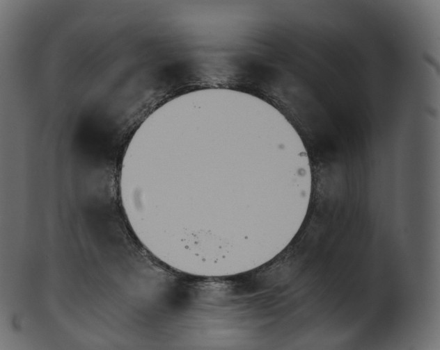 X0000101120313200807031810