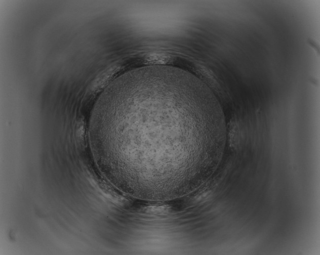 X0000101120314200807031810