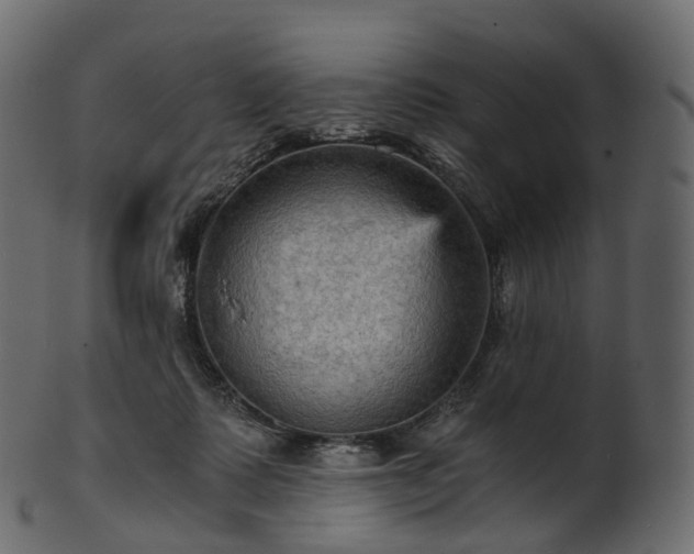 X0000101120315200807031810