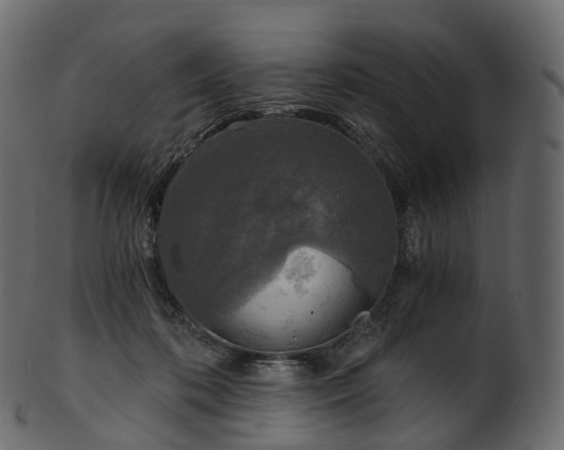 X0000101120316200807031809