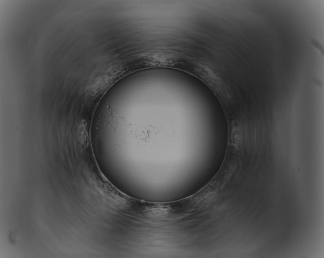 X0000101120318200807031809