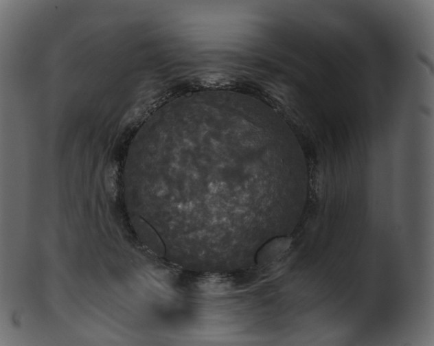 X0000101120319200807031809