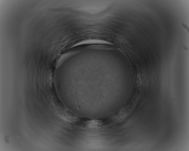 X0000101120320200807031809