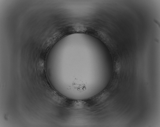 X0000101120321200807031809