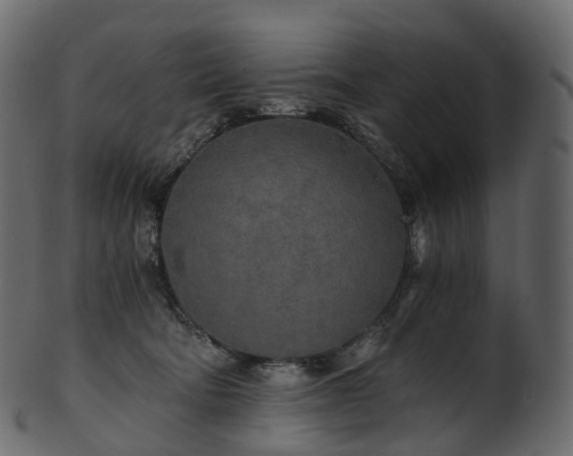 X0000101120322200807031809
