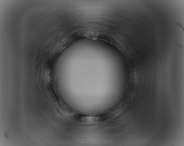 X0000101120323200807031809
