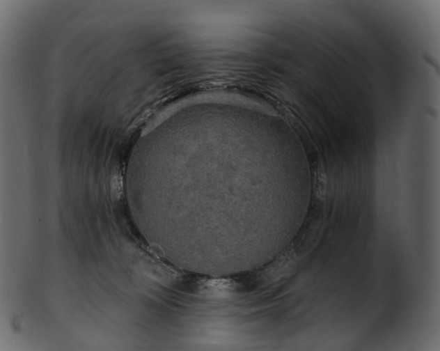 X0000101120324200807031809