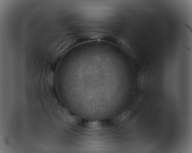 X0000101120325200807031809