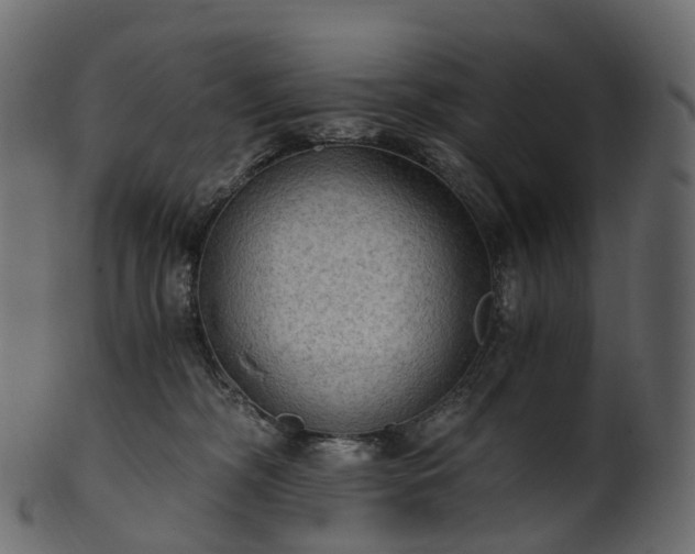 X0000101120326200807031809