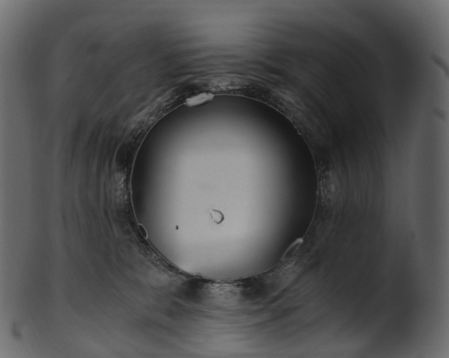 X0000101120327200807031809