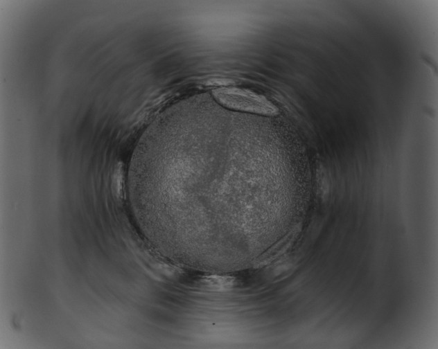 X0000101120328200807031809