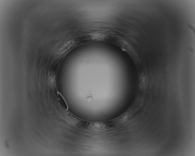 X0000101120329200807031809