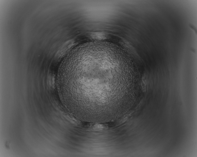 X0000101120330200807031809