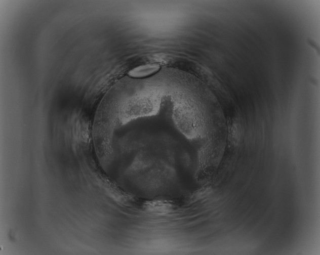 X0000101120331200807031809