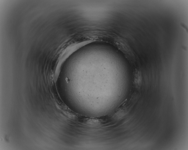 X0000101120332200807031809