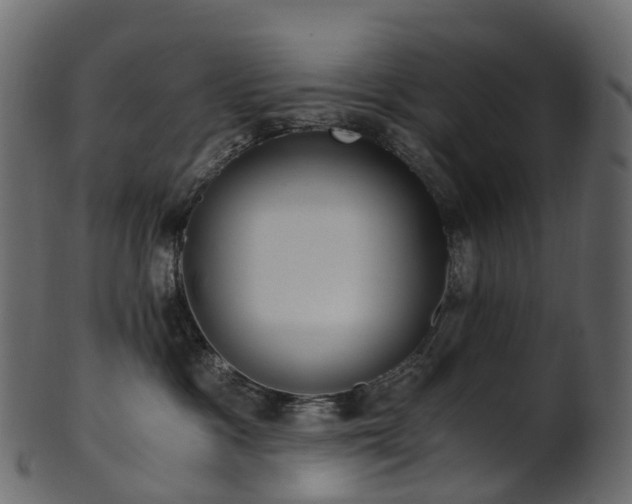 X0000101120333200807031809