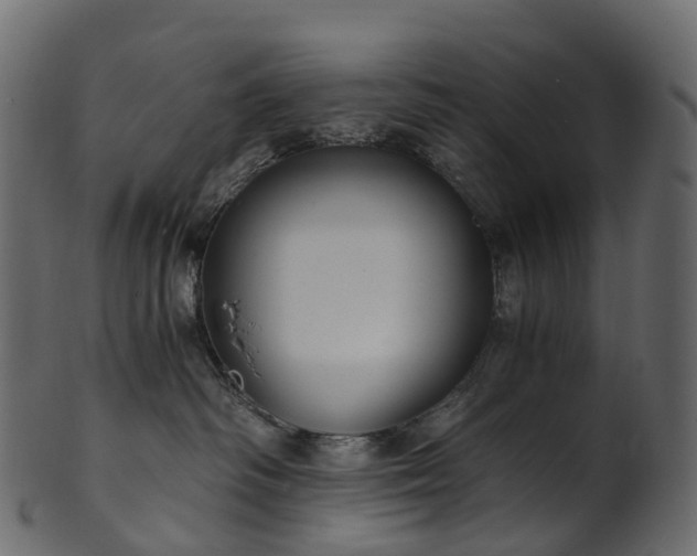 X0000101120334200807031809