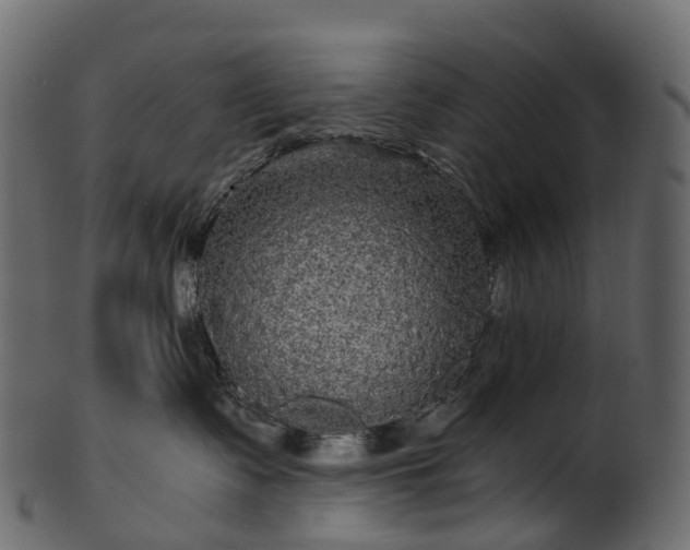 X0000101120335200807031809