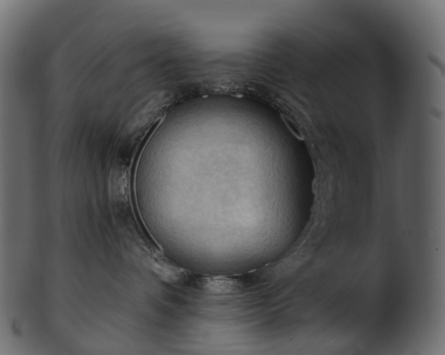 X0000101120336200807031809