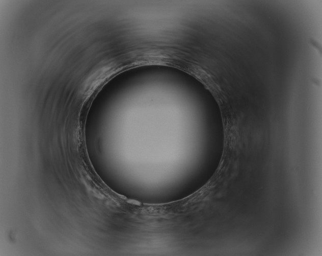 X0000101120338200807031808
