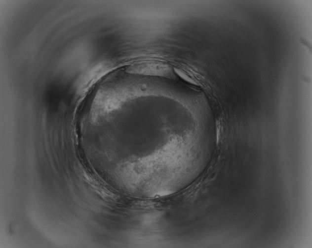 X0000101120339200807031808