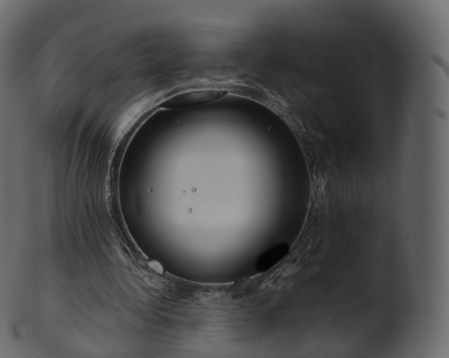 X0000101120340200807031808