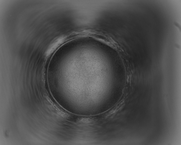 X0000101120341200807031808