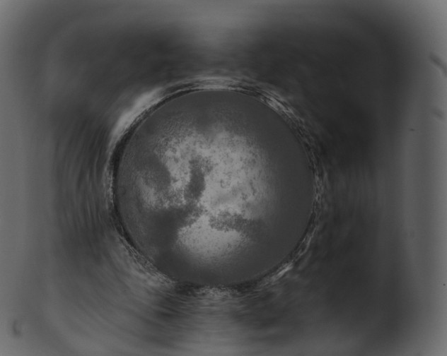 X0000101120343200807031808