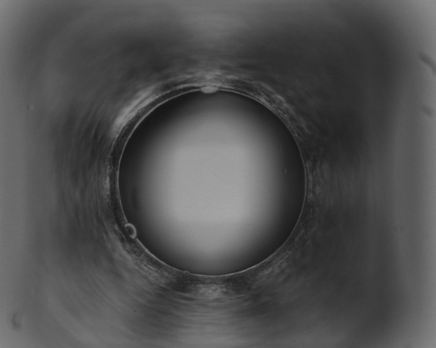 X0000101120344200807031808