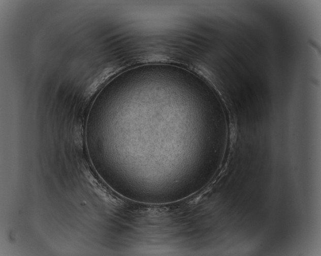 X0000101120345200807031808