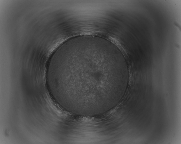 X0000101120346200807031809
