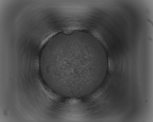 X0000101120348200807031809