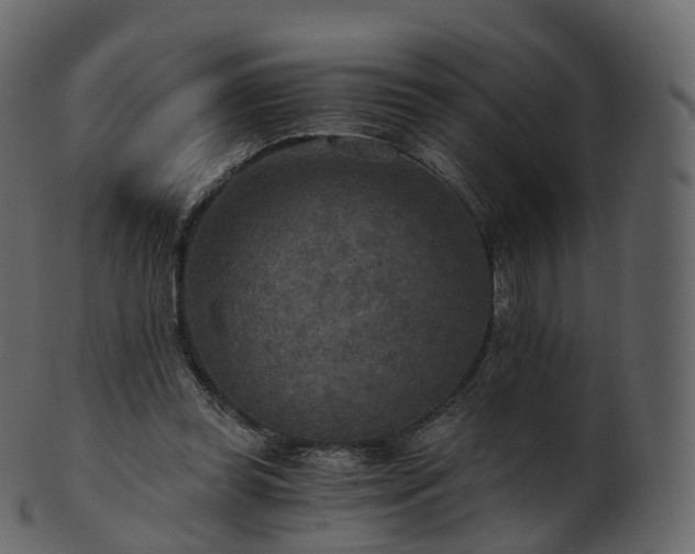 X0000101120349200807031809