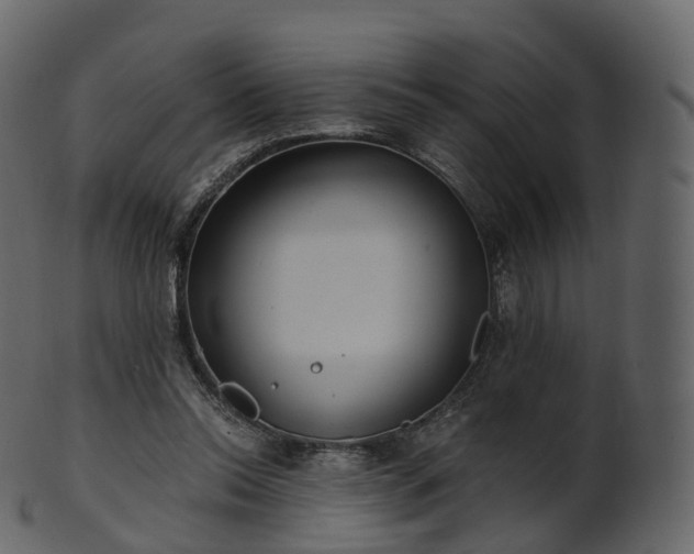 X0000101120350200807031809