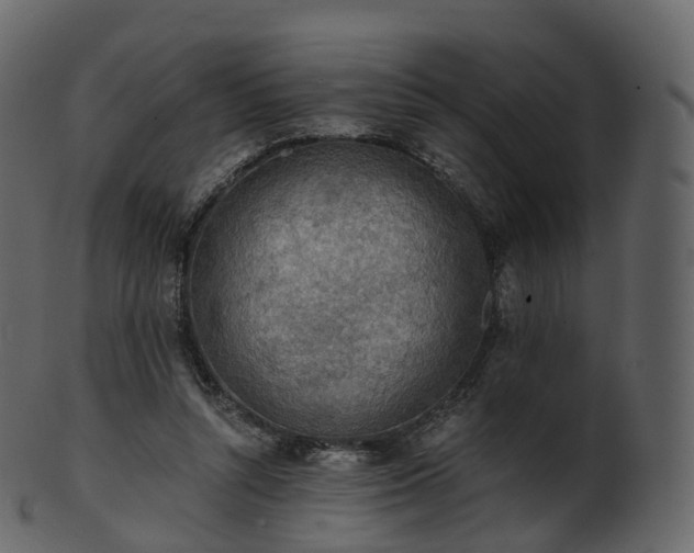 X0000101120352200807031809