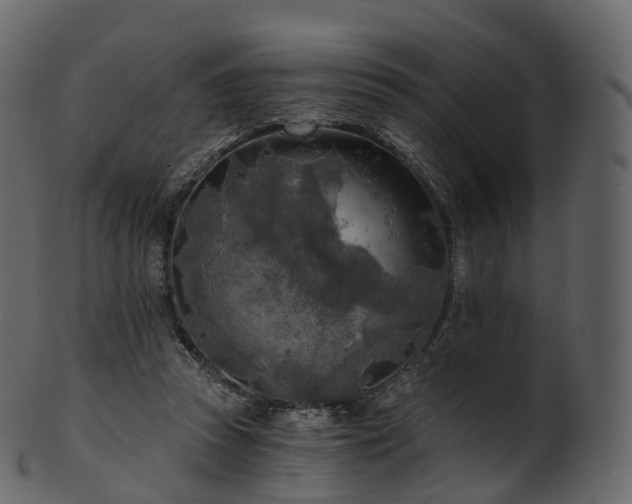 X0000101120353200807031809