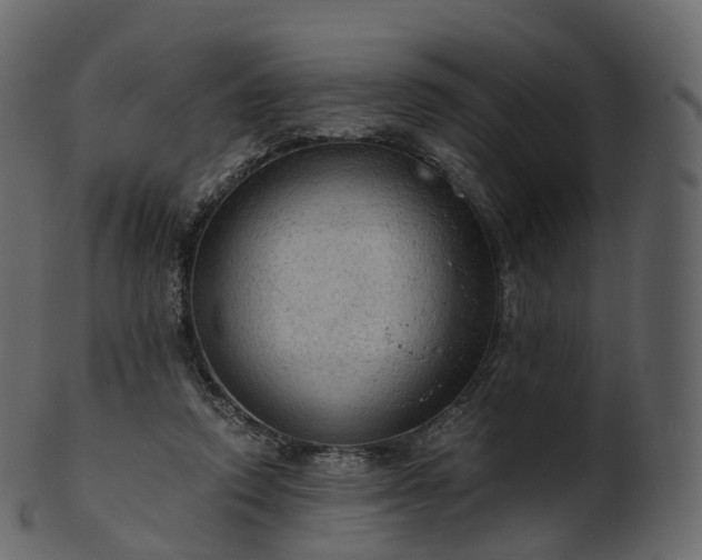 X0000101120354200807031809