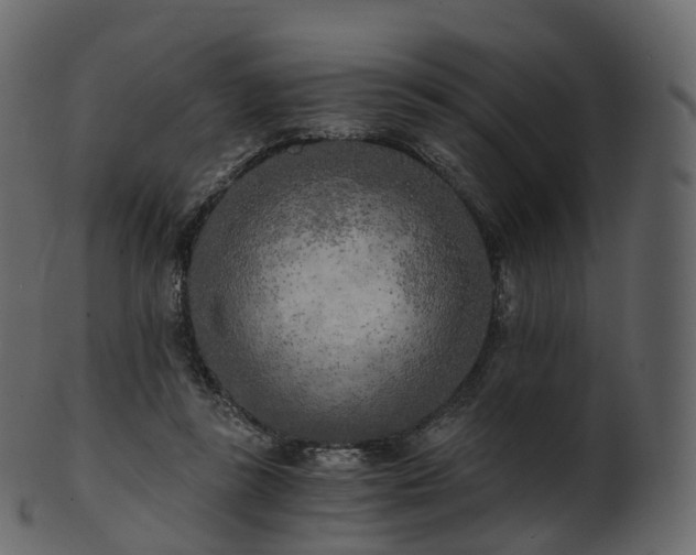 X0000101120355200807031809