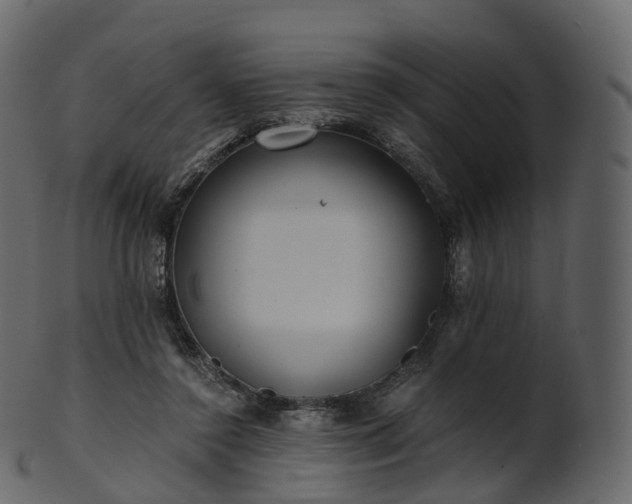 X0000101120356200807031809