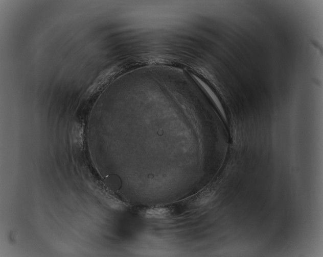 X0000101120357200807031809